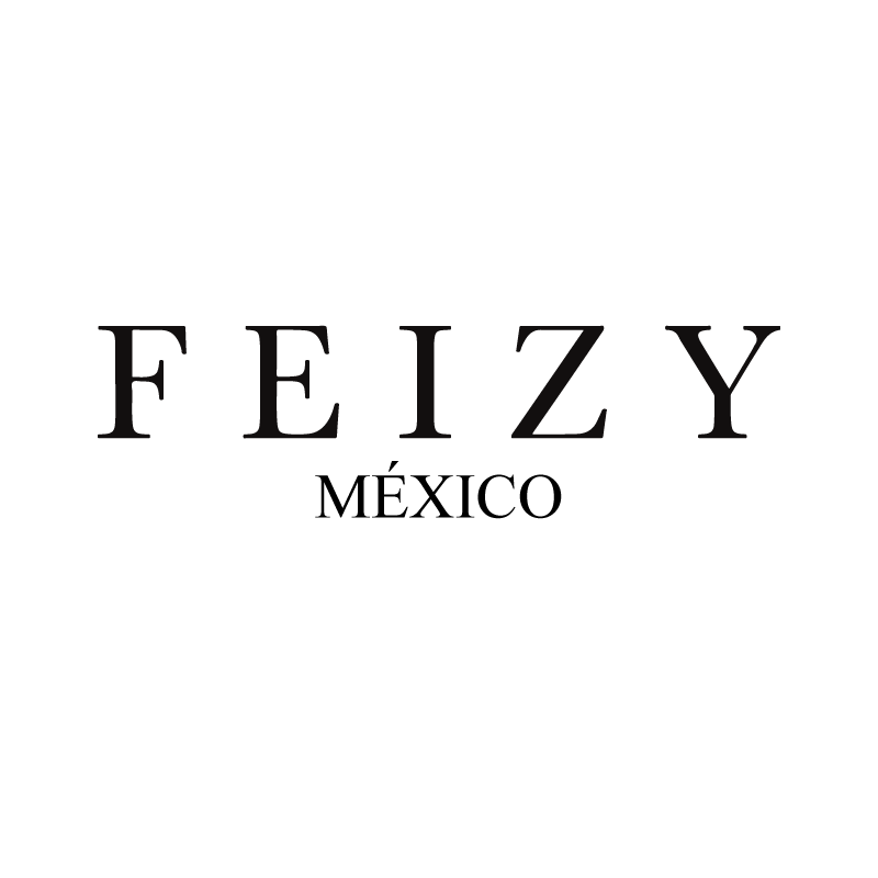 Feizy México Logo Negro